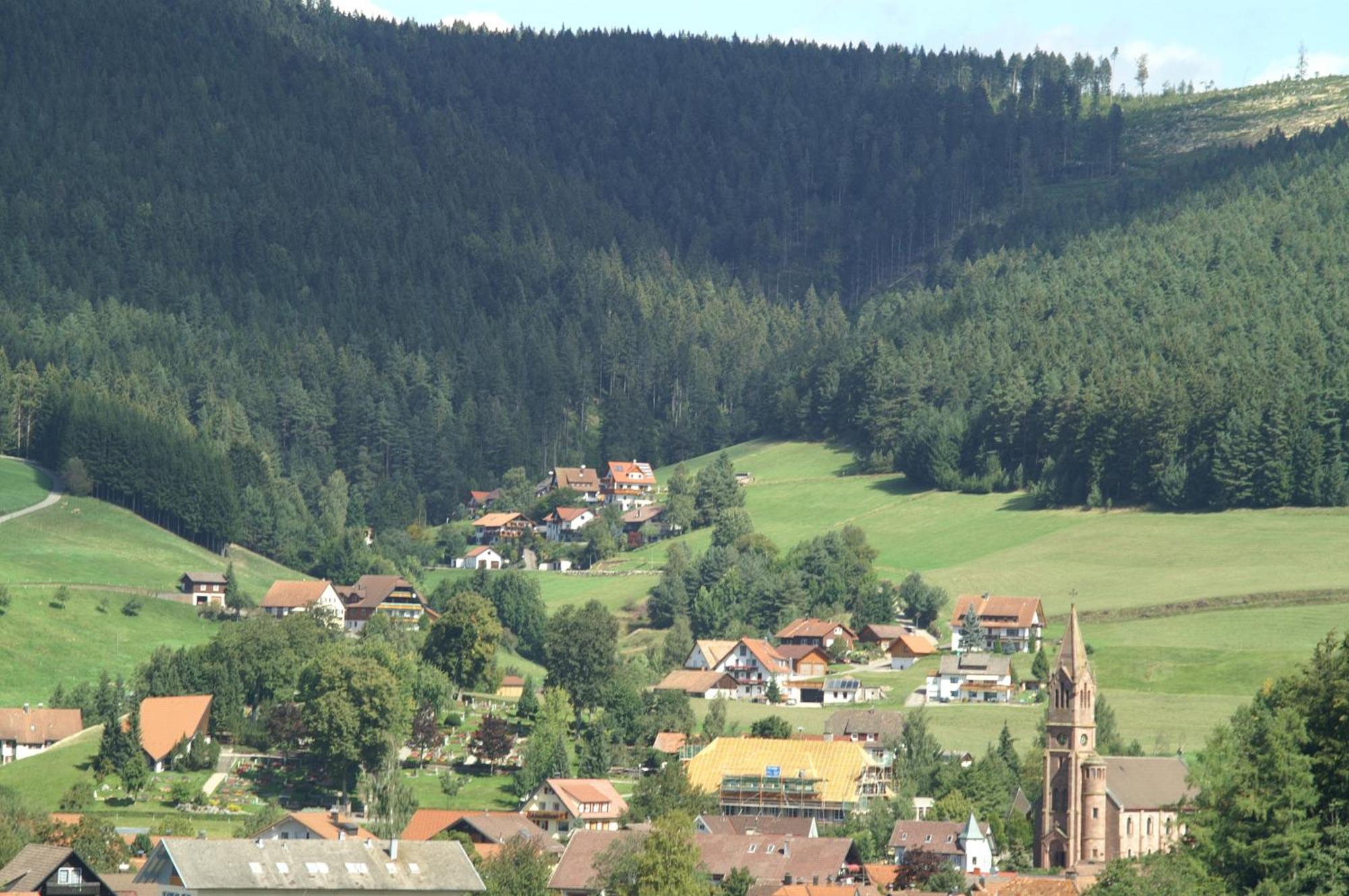 Hotel Lamm Baiersbronn Mitteltal Zewnętrze zdjęcie